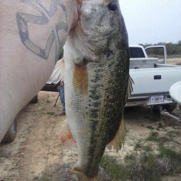 Meet your Posher, Mike - Picture 1 of 1